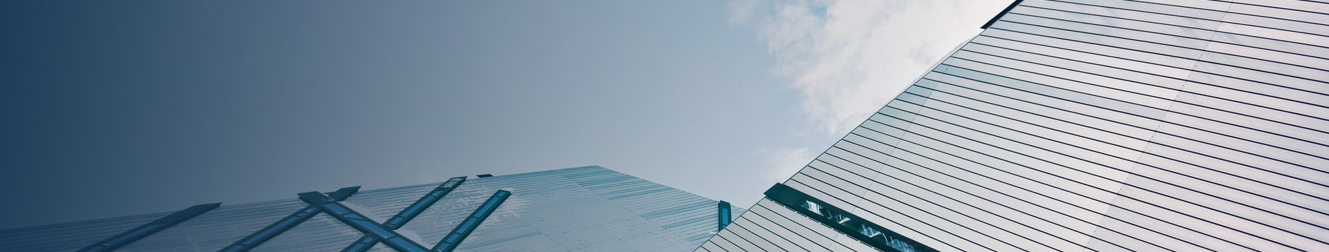 服務(wù)項(xiàng)目